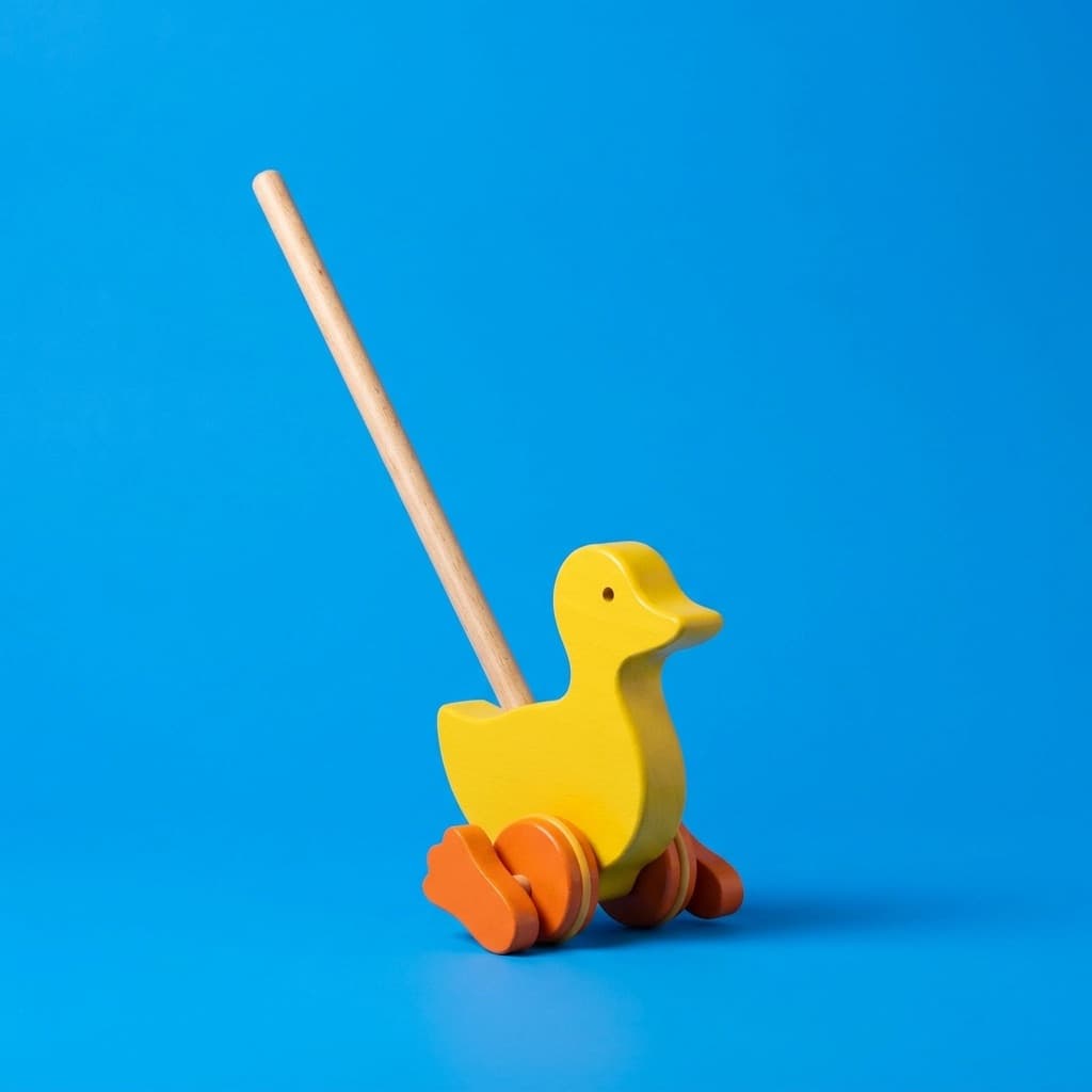 Push-Along Duck